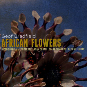 African Flowers