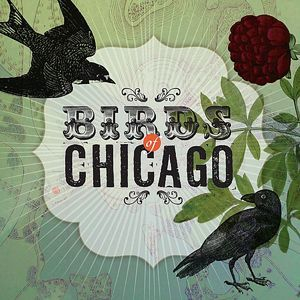 Birds Of Chicago