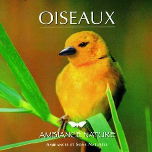 Ambiance Nature Oiseaux