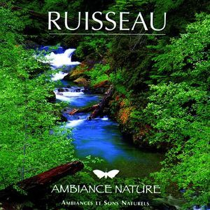 Ambiance Nature Ruisseau