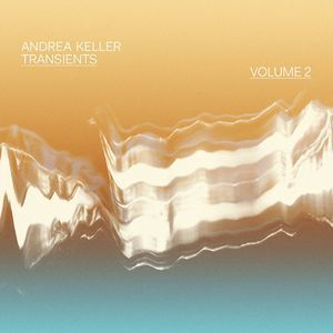 Transients, Vol. 2