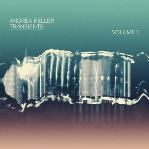 Transients, Vol. 1 [Hi-Res]