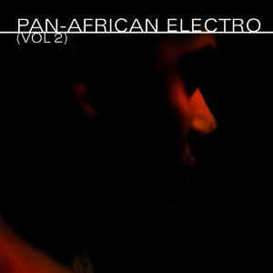 Pan African Electro (vol. 2)