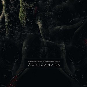 Aokigahara