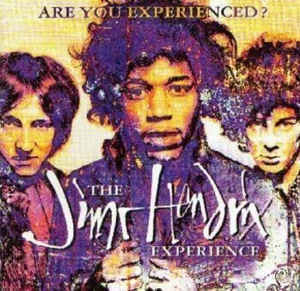 Are You Experienced