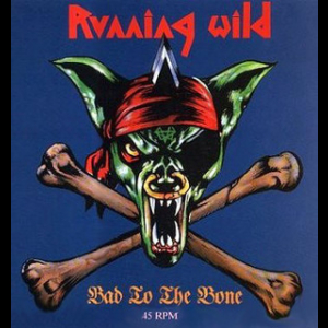 Bad To The Bone [CDS]