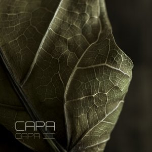 Capa II