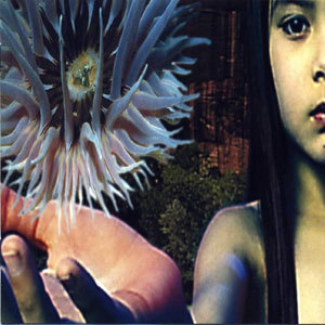 Lifeforms (CD1)