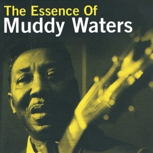 The Essence Of Muddy Waters