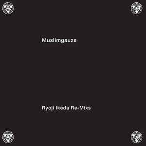 Ryoji Ikeda Re-Mixs