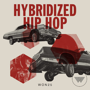 Hybridized Hip Hop