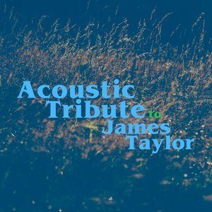 Acoustic Tribute to James Taylor (Instrumental)