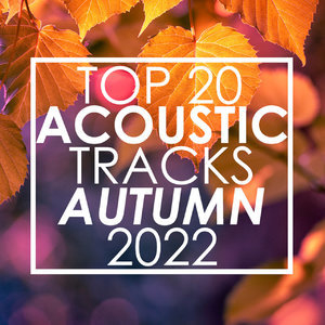 Top 20 Acoustic Tracks Autumn 2022 (Instrumental)