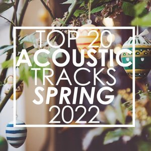 Top 20 Acoustic Tracks Spring 2022 (Instrumental)