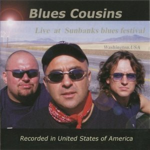 Live at Sunbanks Blues Festival