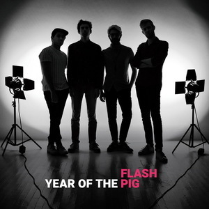 Year Of The Pig 