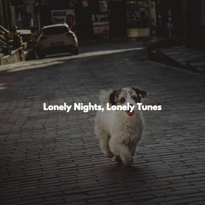 Lonely Nights, Lonely Tunes
