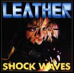 Shock Waves