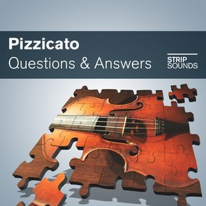 Pizzicato Questions & Answers