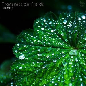 Transmission Fields