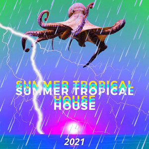 Summer Tropical House