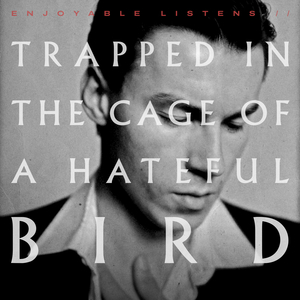 Trapped In the Cage of a Hateful Bird