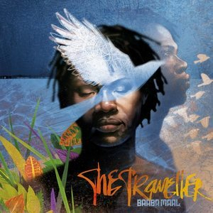 The Traveller