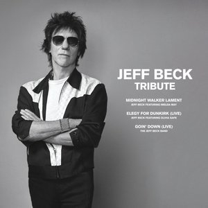 Jeff Beck Tribute