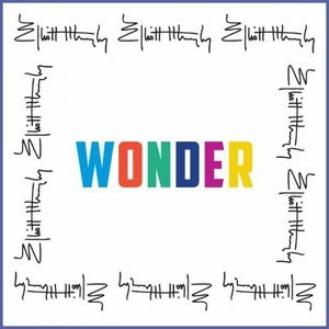 Wonder