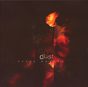 Dust