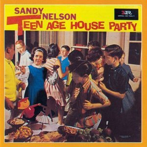 Teenage House Party