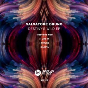 Destinys Wild EP