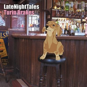 LateNightTales: Turin Brakes