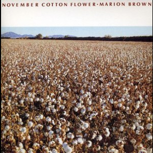 November Cotton Flower