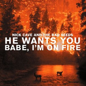 He Wants You / Babe, Im on Fire