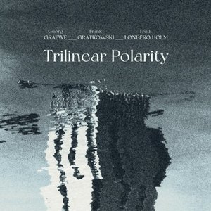 Trilinear Polarity