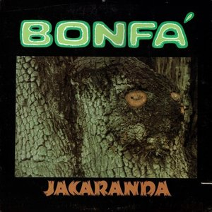 Jacaranda