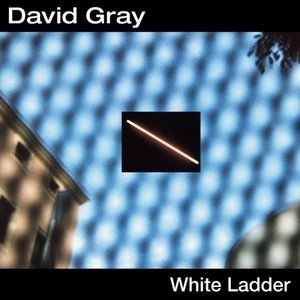 White Ladder