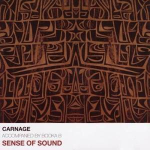 Sense Of Sound