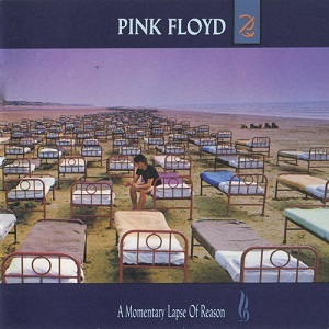 A Momentary Lapse Of Reason