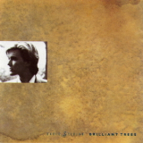 David Sylvian - Weatherbox (5CD) Brilliant Trees (CD1) '1989