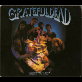 The Grateful Dead - Built To Last '1989