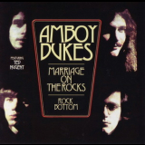 Ted Nugent & The Amboy Dukes - Marriage On The Rocks - Rock Bottom '1970