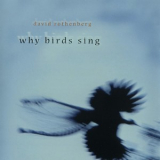 David Rothenberg - Why Birds Sing '2005