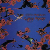 Steven Anderson - Gypsy Power '1994
