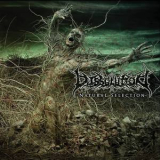 Dissolution - Natural Selection '2014