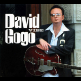 David Gogo - Vibe '2008