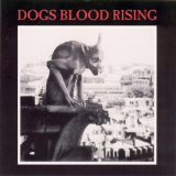 Current 93 - Dogs Blood Rising (remastered) '1984