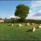The Klf - Chill Out '1990