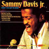 Sammy Davis, Jr. - What I.ve Got In Mind '1993